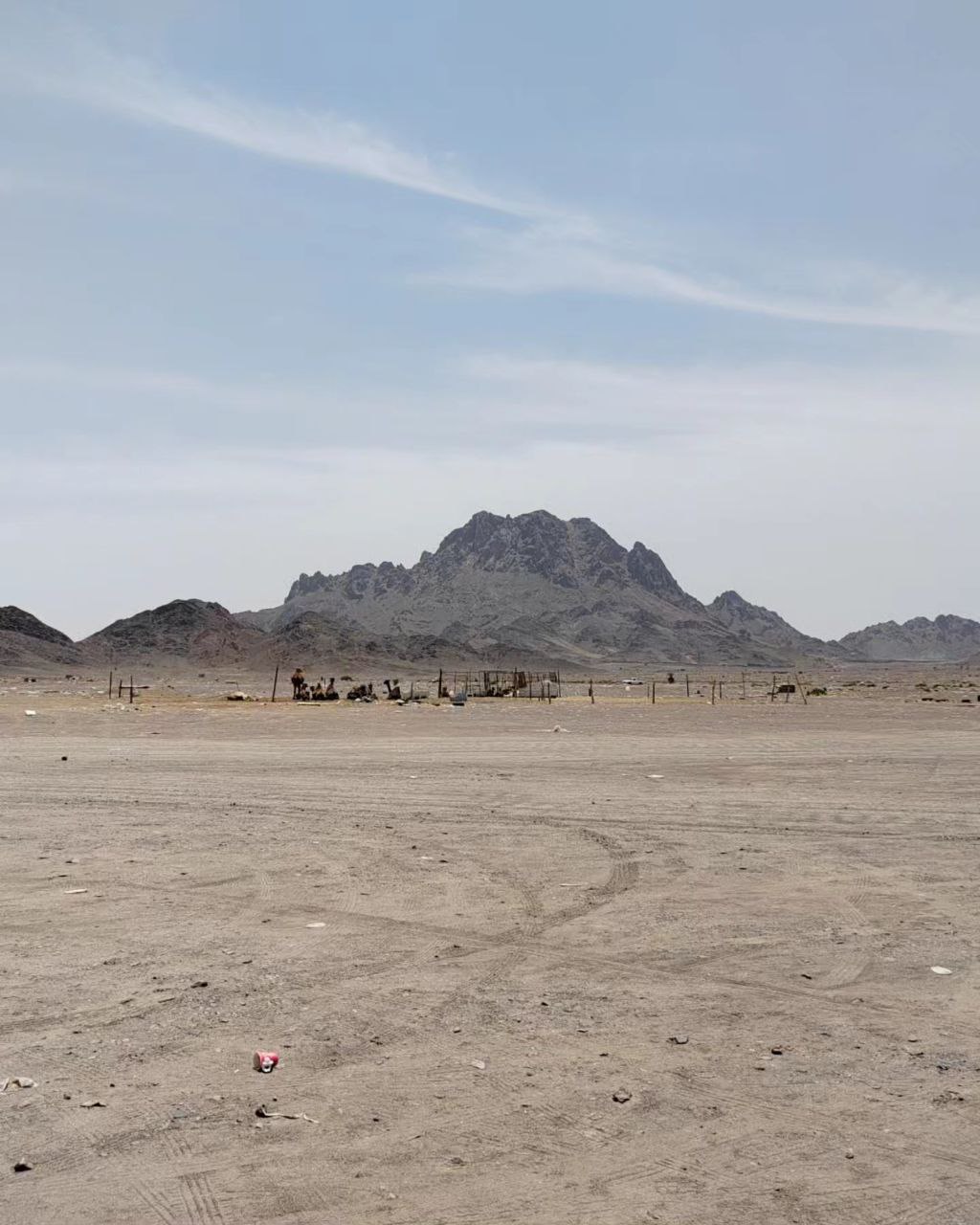 An Naqs — Lait de chamelle