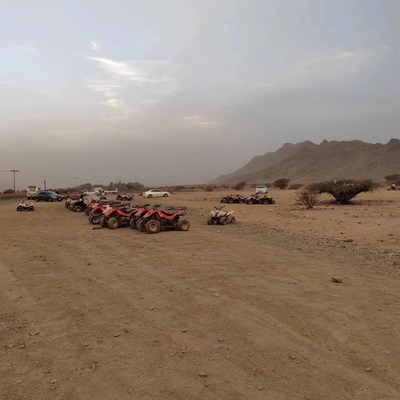 Tour en quad – Wadi Al-Bayda