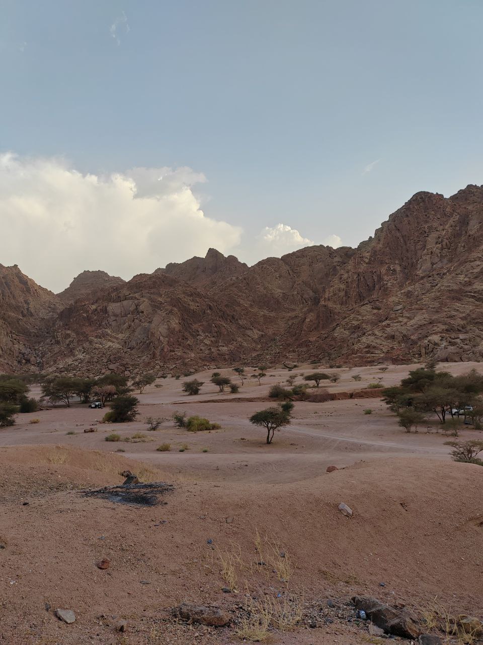 Wadi E Jin / Wadi Al-Bayda